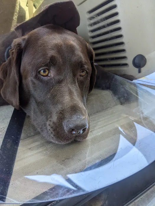 Mid-Atlantic Animal Specialty Hospital 6
