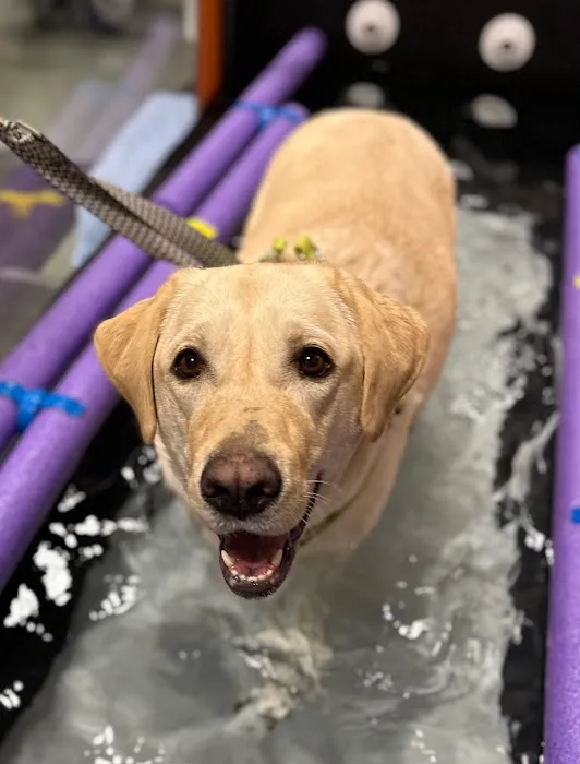 Mid-Atlantic Animal Specialty Hospital 5