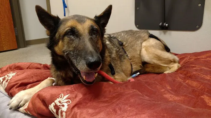Mid-Atlantic Animal Specialty Hospital 2
