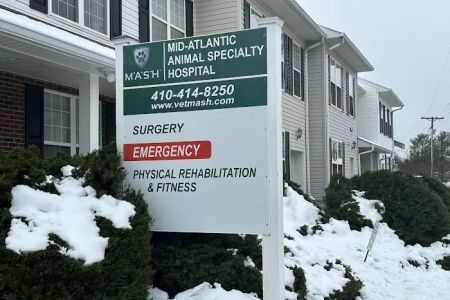 For Paws Rehabilitation
