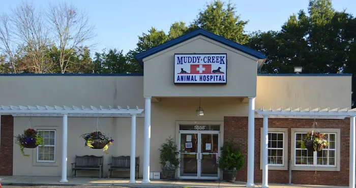 Muddy Creek Animal Hospital 7