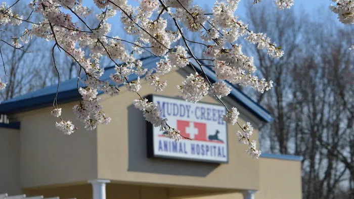 Muddy Creek Animal Hospital 9