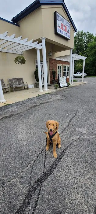 Muddy Creek Animal Hospital 1