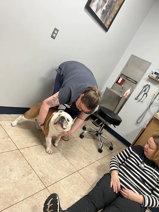 Muddy Creek Animal Hospital 8