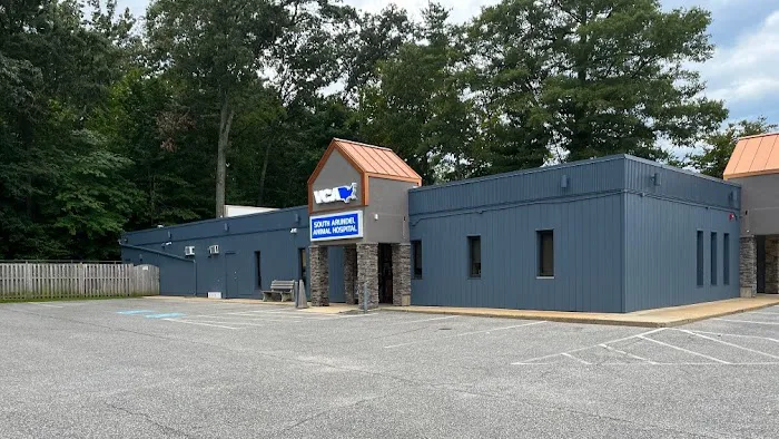 VCA South Arundel Animal Hospital 8
