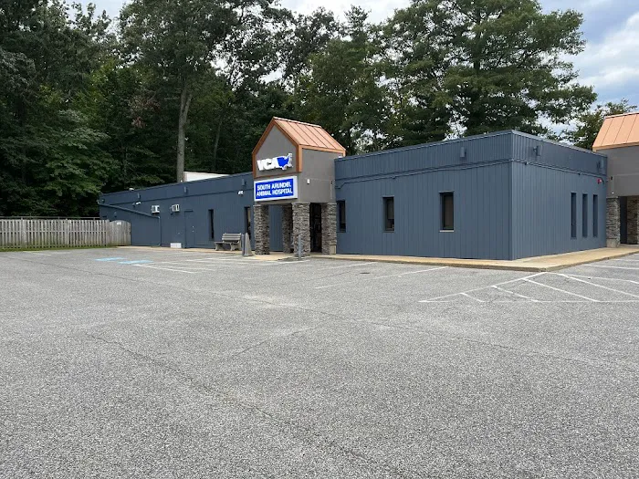 VCA South Arundel Animal Hospital 6