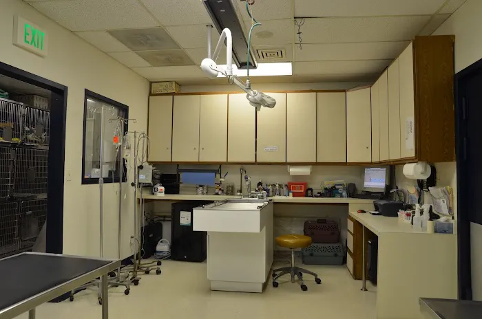 Greater South River Animal Hospital 8
