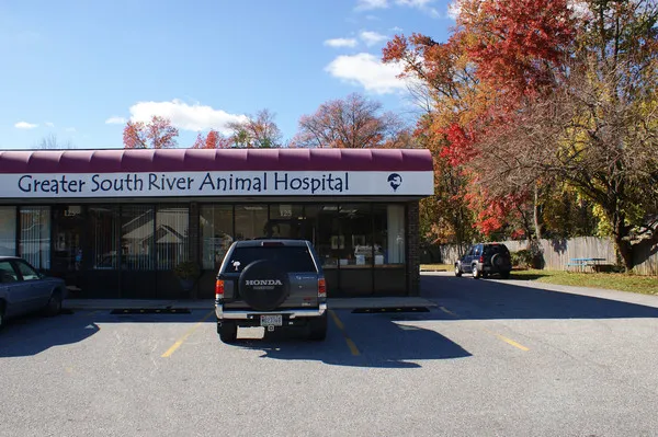 Greater South River Animal Hospital 4