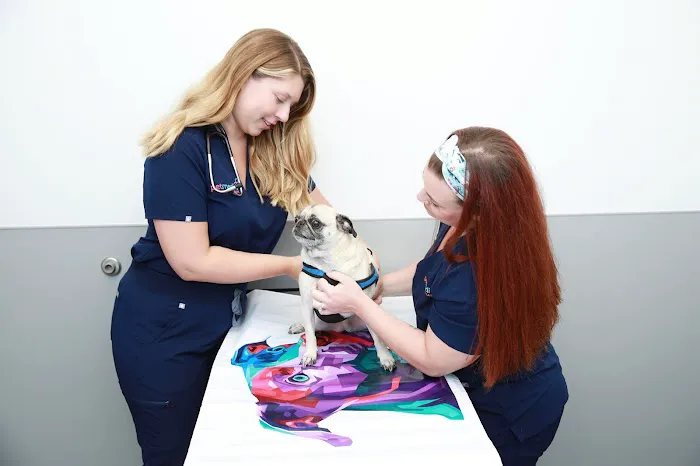 PetMedic Urgent Care Vet Clinic of Edgewater 1