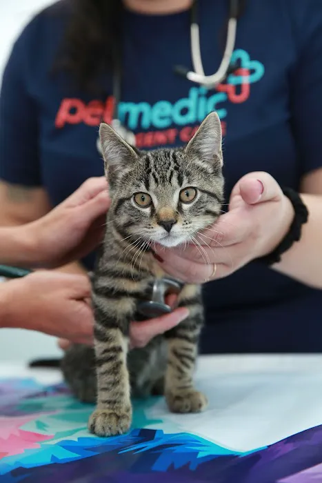 PetMedic Urgent Care Vet Clinic of Edgewater 5