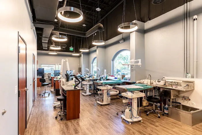 Pet Dental USA 2