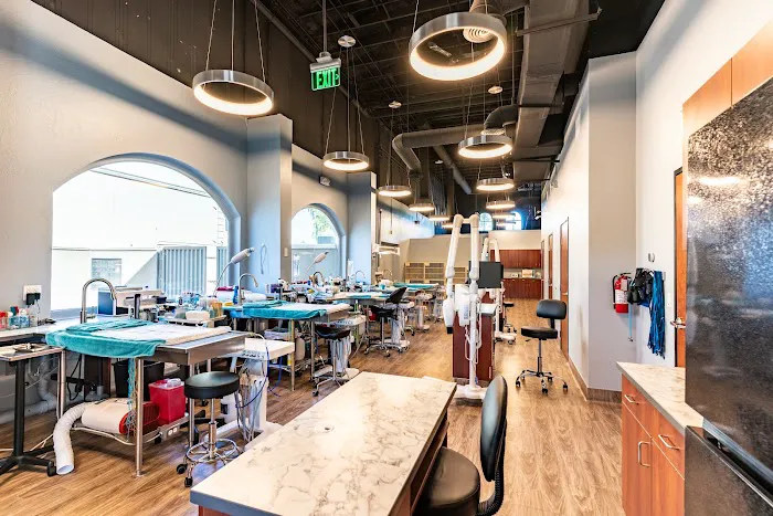 Pet Dental USA 5