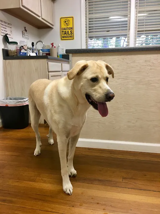Haynes Bridge Animal Hospital 4