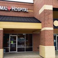 Wood Animal Hospital ico