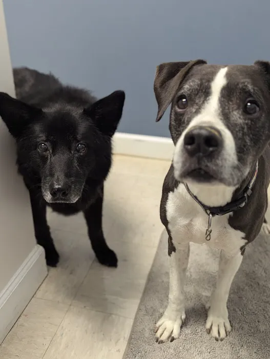 Mill Creek Animal Hospital 12