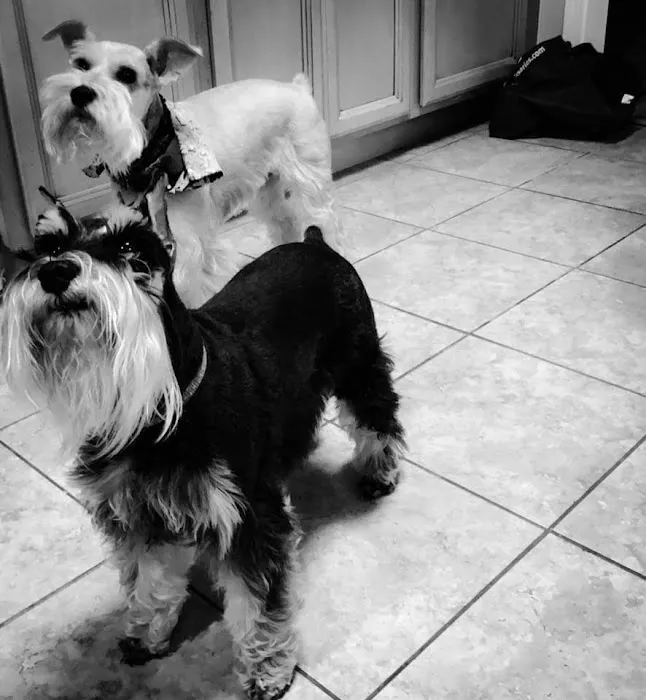 Mill Creek Animal Hospital 12