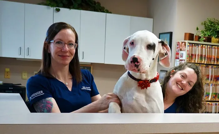 Mill Creek Animal Hospital 12