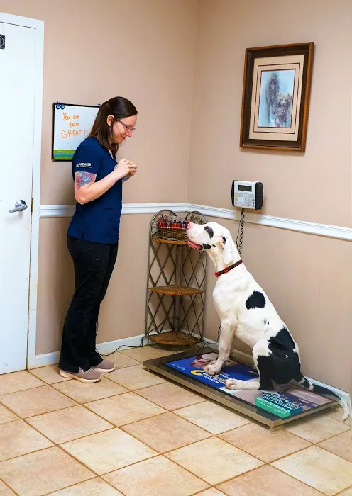 Mill Creek Animal Hospital 12