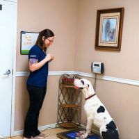 Mill Creek Animal Hospital ico
