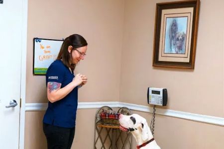 Mill Creek Animal Hospital