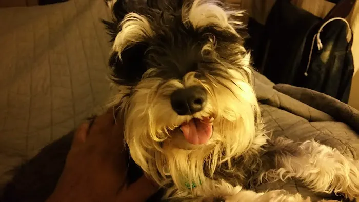 Mill Creek Animal Hospital 12