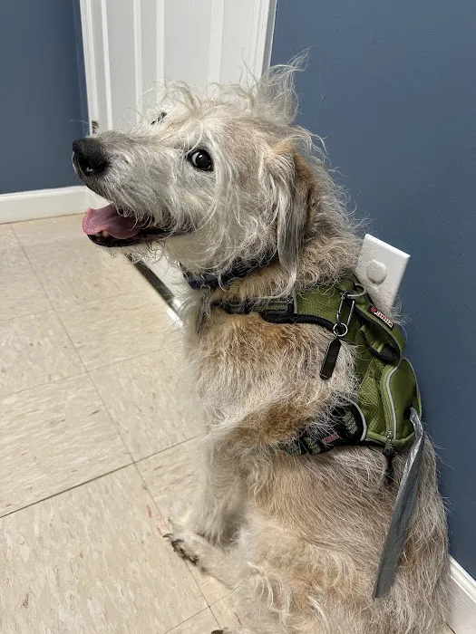 Mill Creek Animal Hospital 12