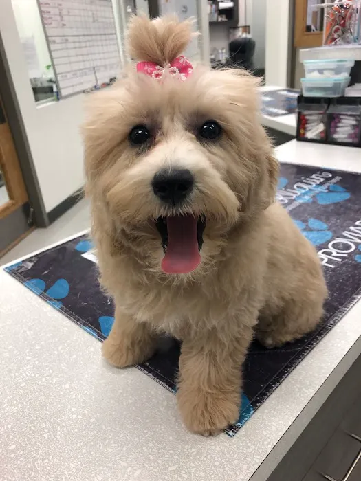 Camden Village Animal Hospital 8