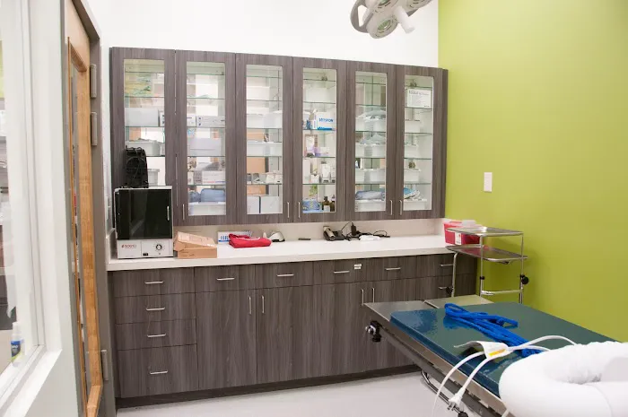 Camden Village Animal Hospital 3