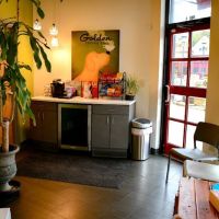 Camden Village Animal Hospital ico