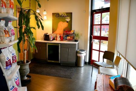 Camden Village Animal Hospital