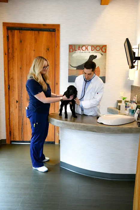 Camden Village Animal Hospital 6