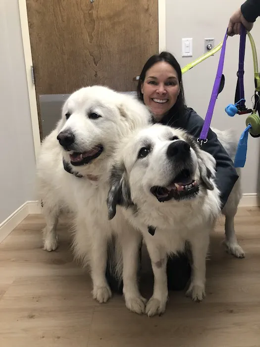 AWC Animal Wellness Clinic 12