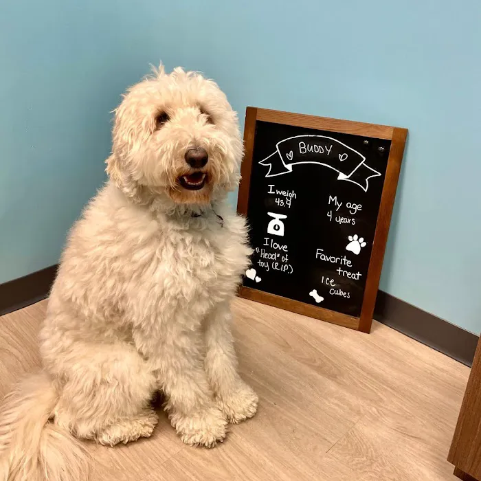 Edgewater Animal Hospital 7