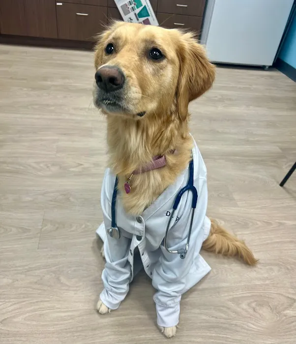 Edgewater Animal Hospital 5