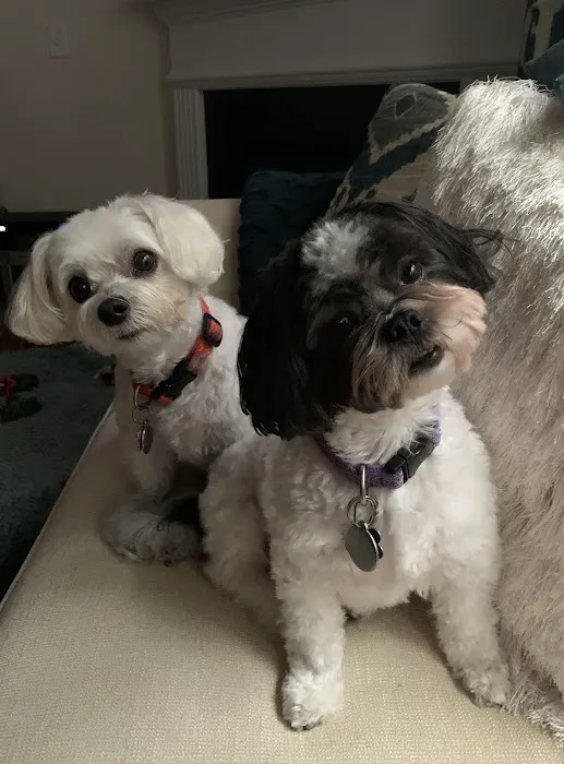 Edgewater Animal Hospital 2