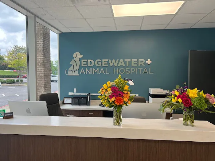 Edgewater Animal Hospital 1