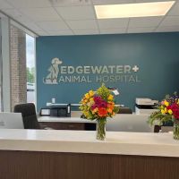 Edgewater Animal Hospital ico