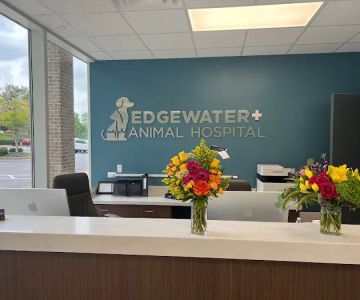 Edgewater Animal Hospital