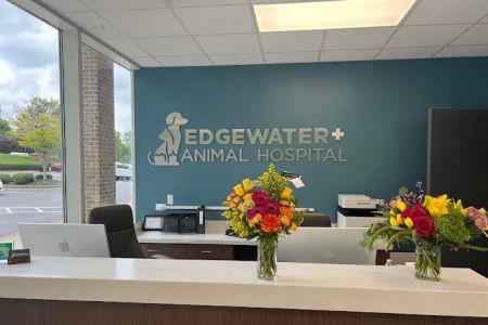 Edgewater Animal Hospital