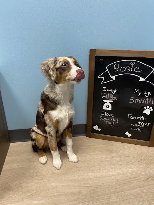 Edgewater Animal Hospital 3