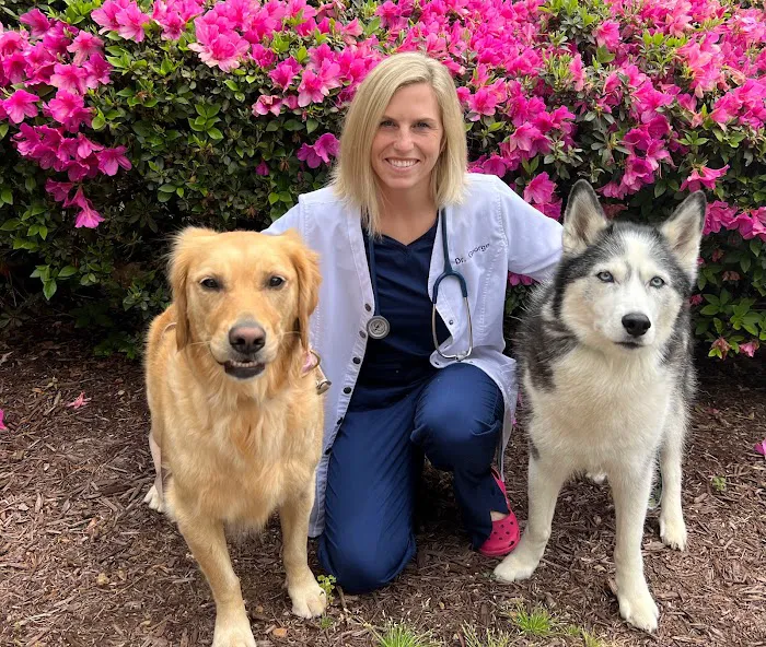 Edgewater Animal Hospital 8