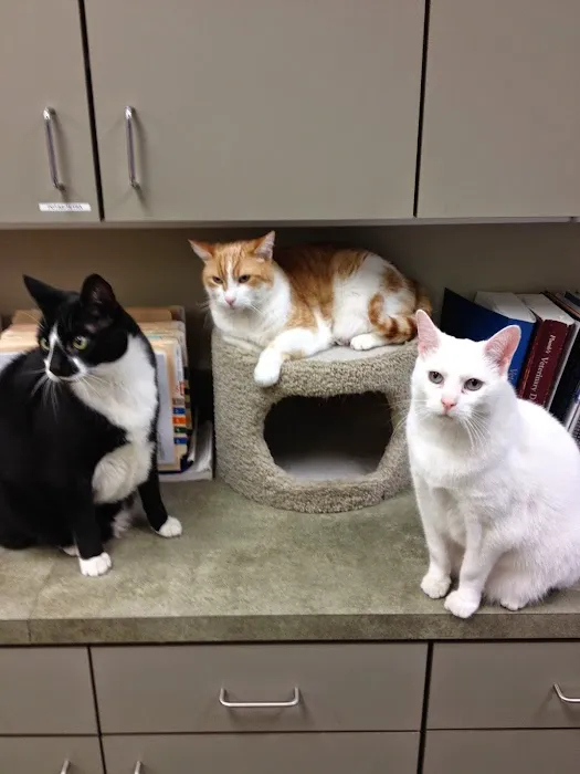 Midway Animal Hospital 1