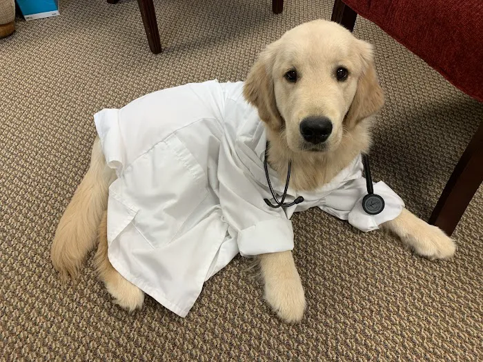 Midway Animal Hospital 5