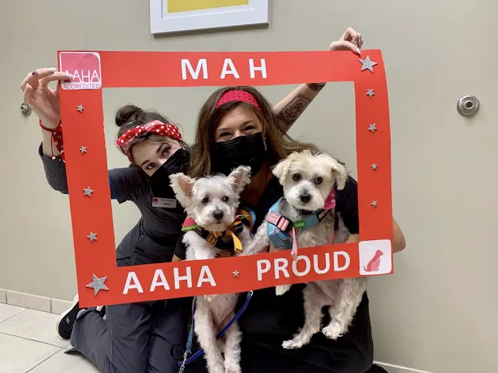 Midway Animal Hospital 10