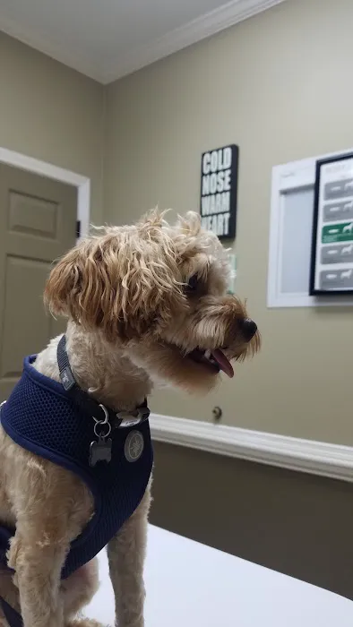 Jones Bridge Animal Hospital 12