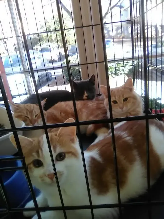 Jones Bridge Animal Hospital 12