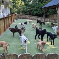 Jones Bridge Animal Hospital ico