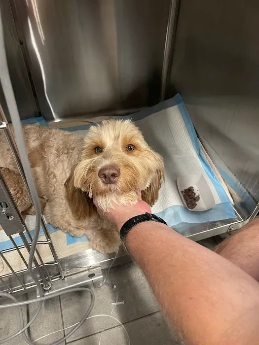 Bridge Park Animal Hospital 12