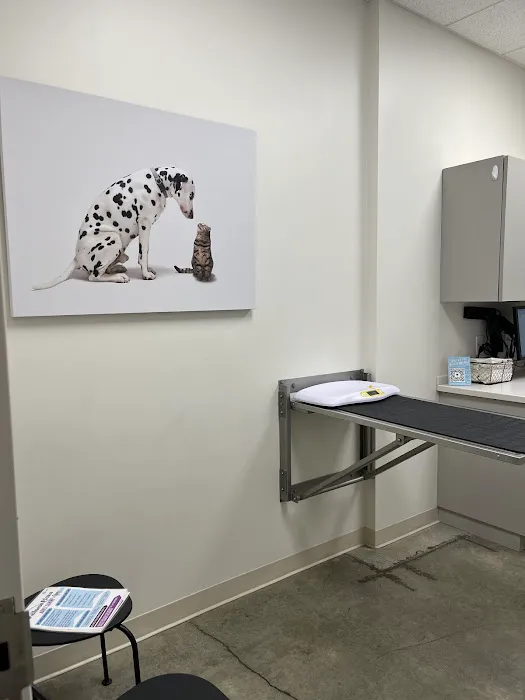 Bridge Park Animal Hospital 12