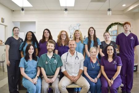 Bridge Park Animal Hospital